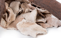 Beige Embers.png